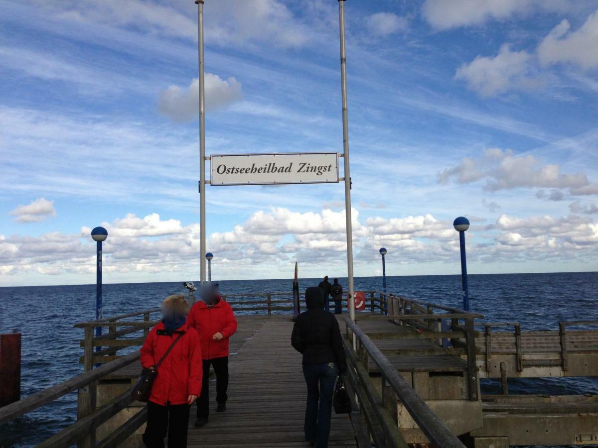 Fewo Am Alten Hafen - Zingst Ostseebad Dış mekan fotoğraf